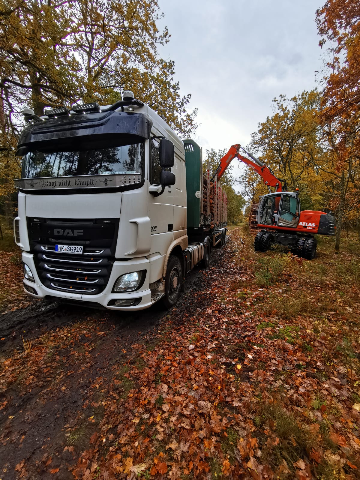 Gütertransporte Bild 1