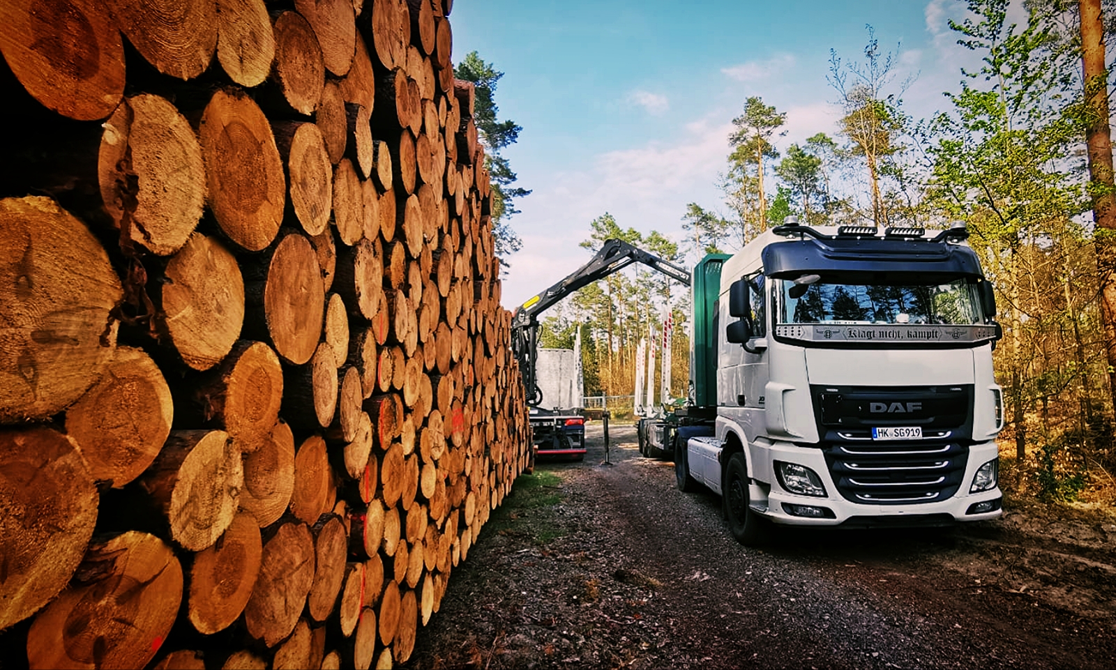 Forstarbeiten Bild 2