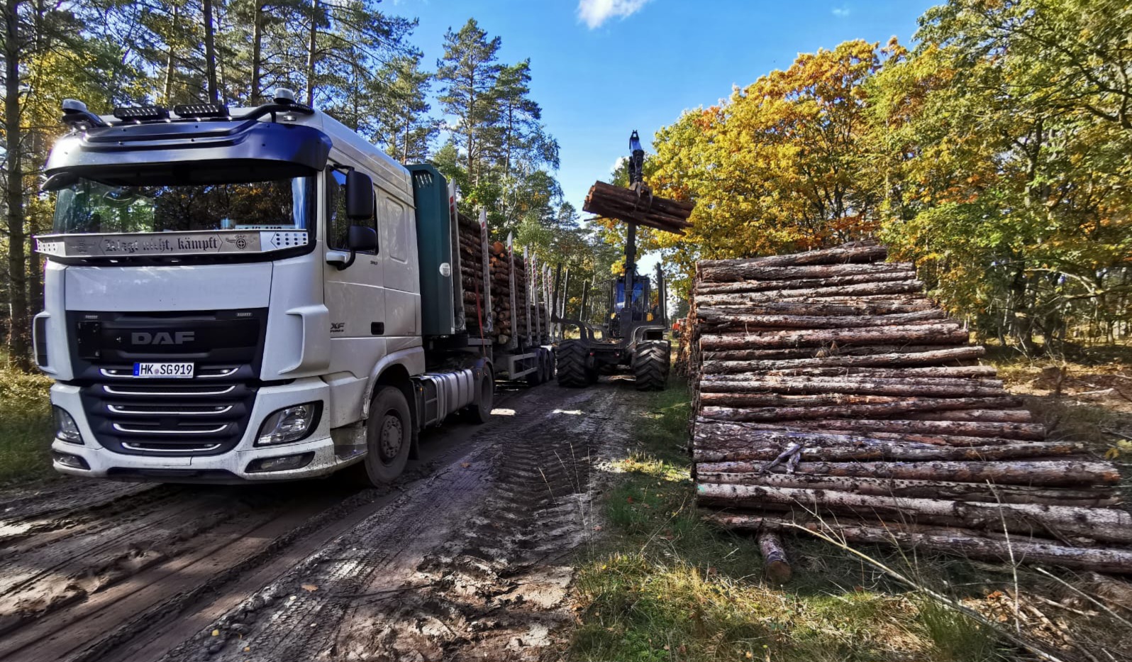 Holztrailer für Stammholz